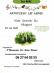 Harmonie des Amis Reunis (Montceau-les-Mines)