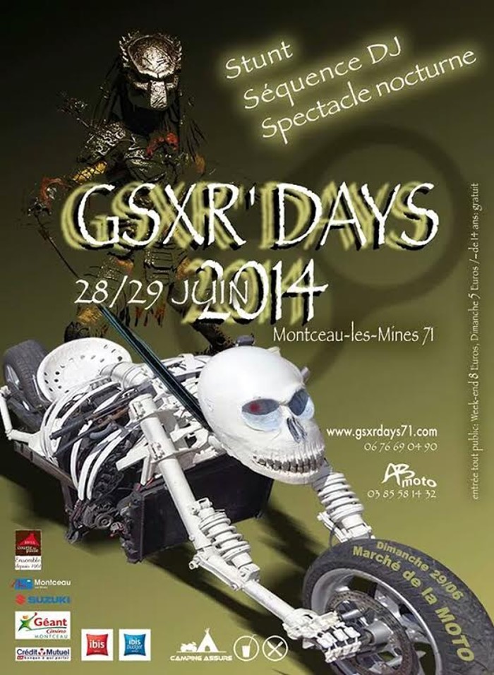 gsxr 2014 1606142