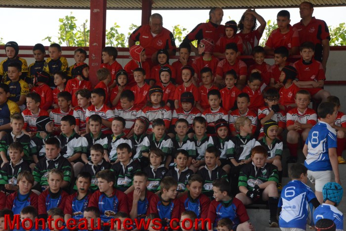 laurent rugby 24051510