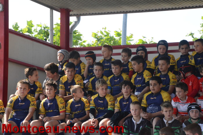 laurent rugby 24051511