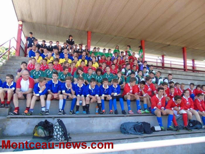 vernus college 0406159