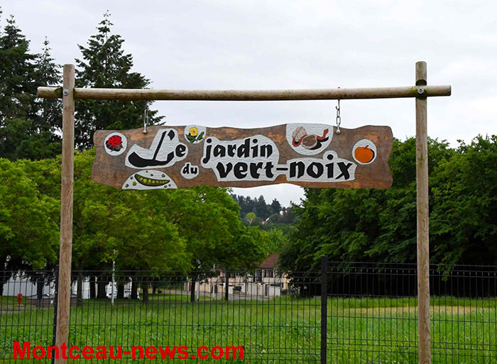 Montceau Les Mines Au Jardin Partag Du Vert Noix Montceau News L