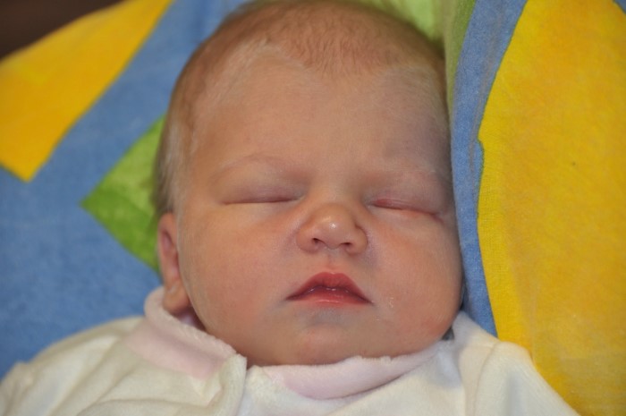 BEBE ELOISE 1111101