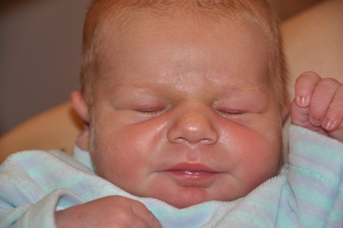 BEBE STELLA 090311