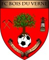 logo foot bdv 100