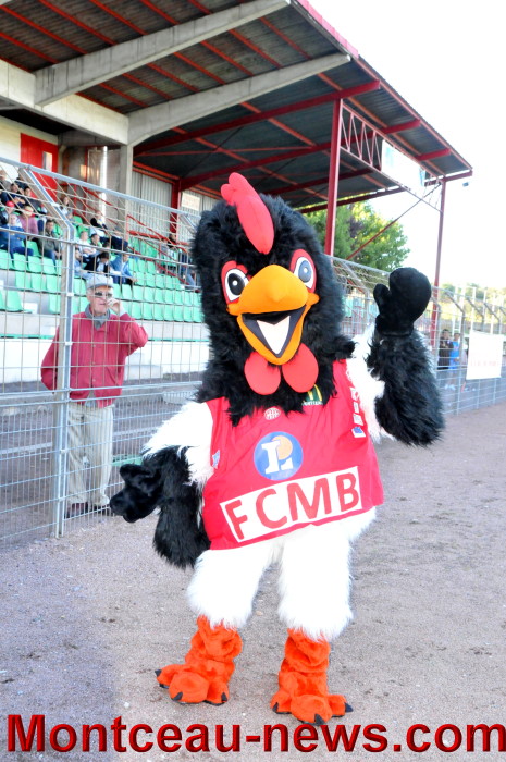 AJACCIO FCMB 2708119