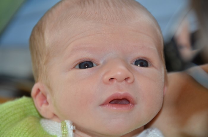 BEBE JOSHUA 220911