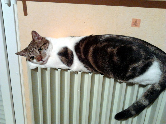 CHAT 02 02 2012