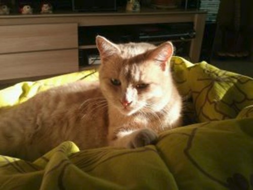 CHAT 28 02 2012