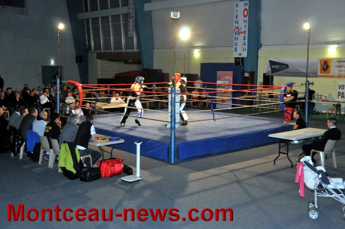 gala full contact 04031222