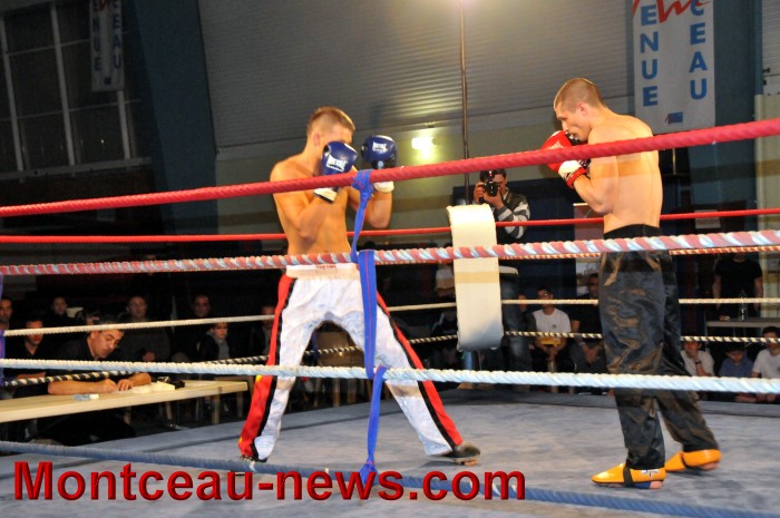 gala full contact 04031239