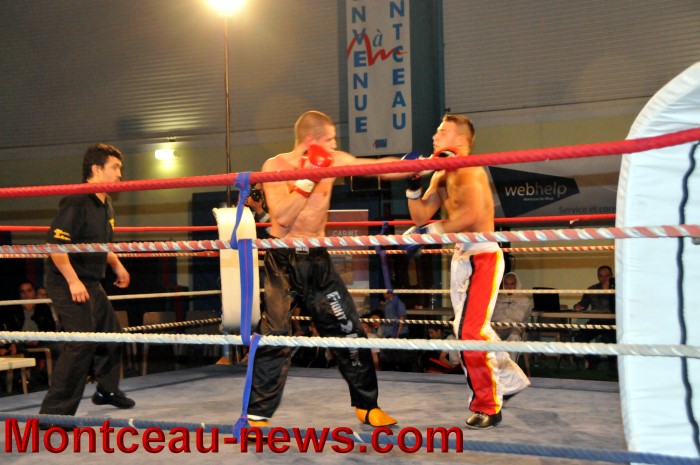 gala full contact 04031240