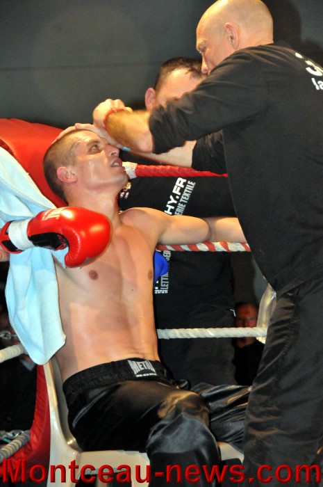 gala full contact 04031244