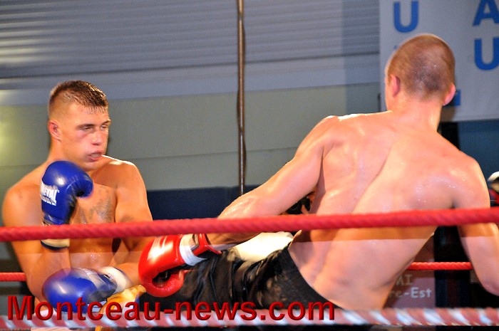 gala full contact 04031249