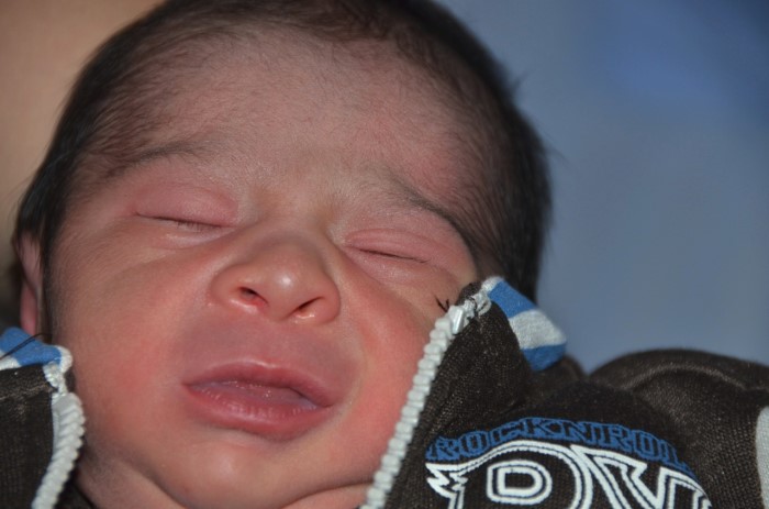 BEBE ELVIN 050612