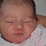 BEBE LIZON 2607123