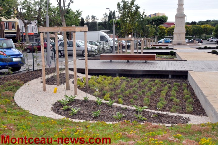 centre ville inno 1307125