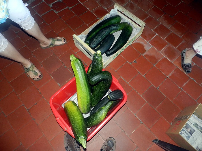 COURGETTE 26 08 20121