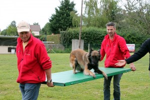 Club Éducation et Sport Canin Montcellien