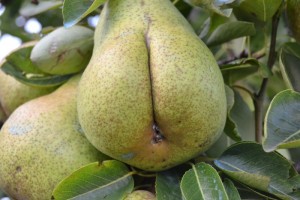 Les joies de la nature