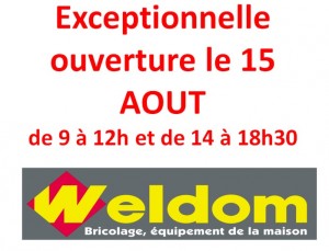 Weldom (Montceau-les-Mines)
