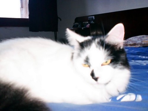 CHAT 03 09 2012