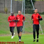 kamel 2509123