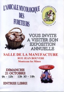 Association « Les fureteurs » (Bassin minier)