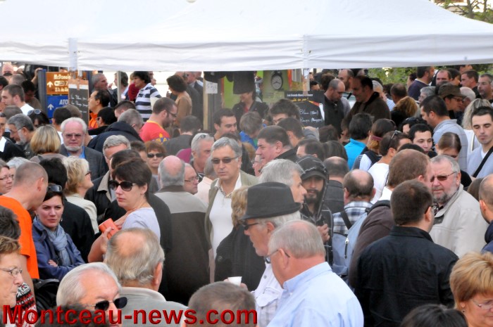 foire grattons 0610129