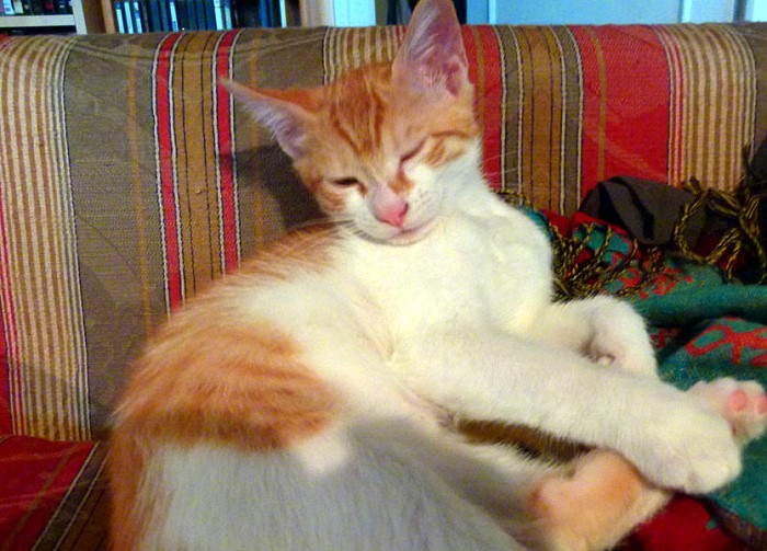 CHAT 9 11 2012