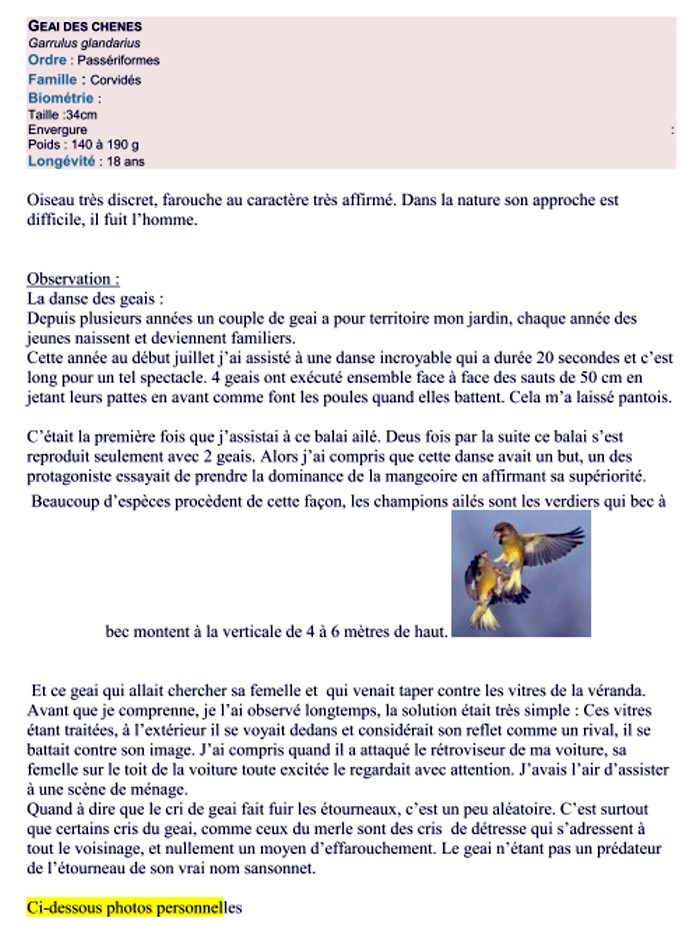 bernard l oiseau 2511123