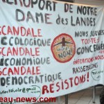 najat baumel 20121219