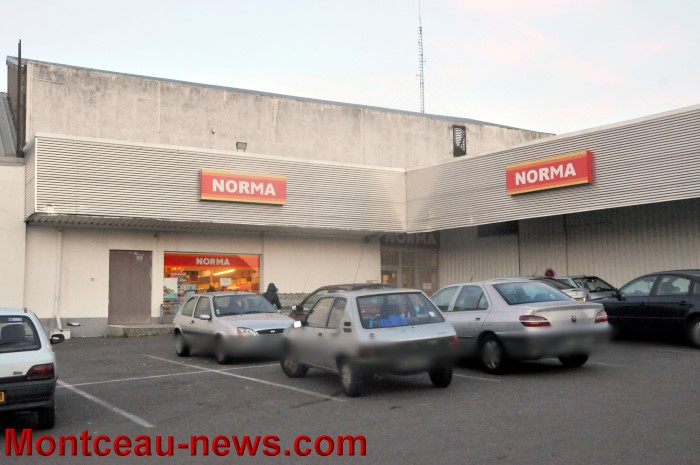 norma 1312123