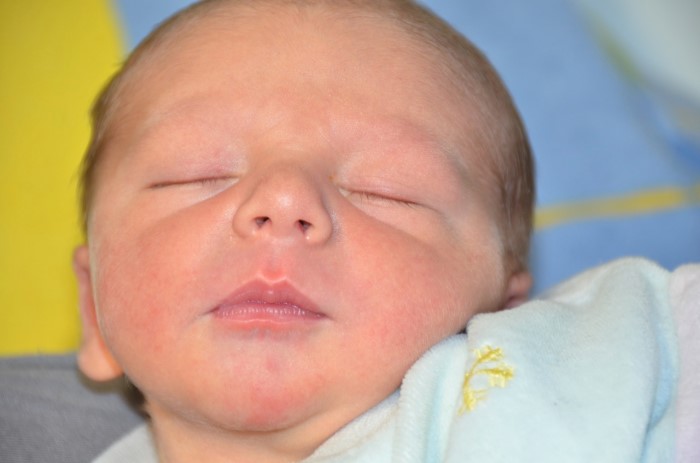 BEBE GABIN 0901132