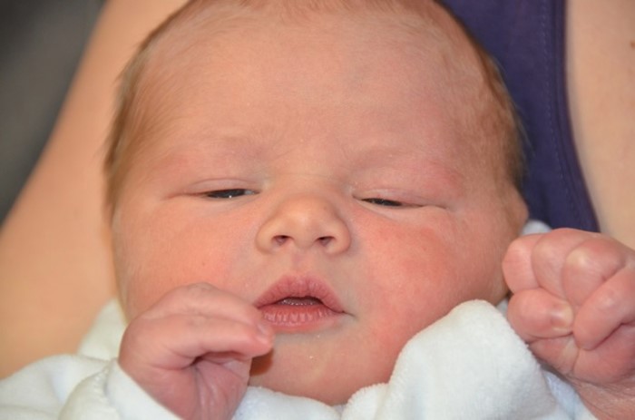 BEBE LOUISE 1501133