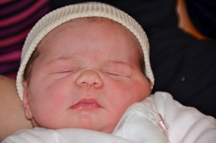 BEBE NOELINE 2701132