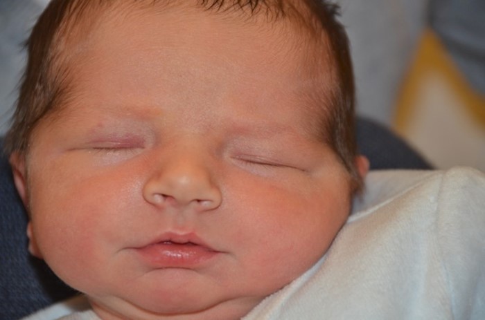 BEBE OSCAR 1401132