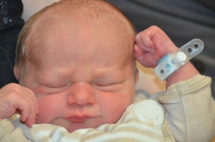 BEBE THEO 2601132
