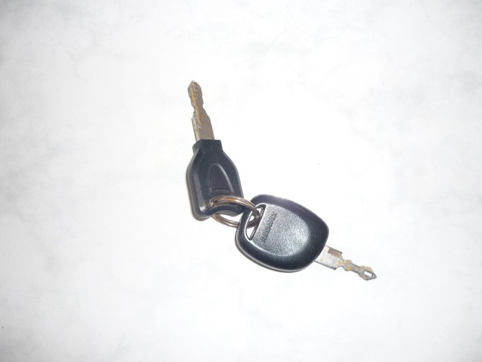 clefs trouve 0101132