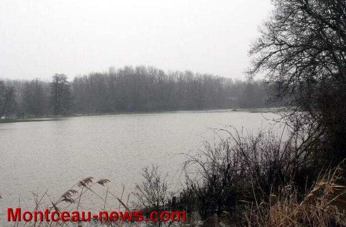 crue 21011311