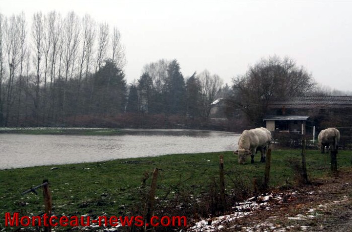 crue 2101135
