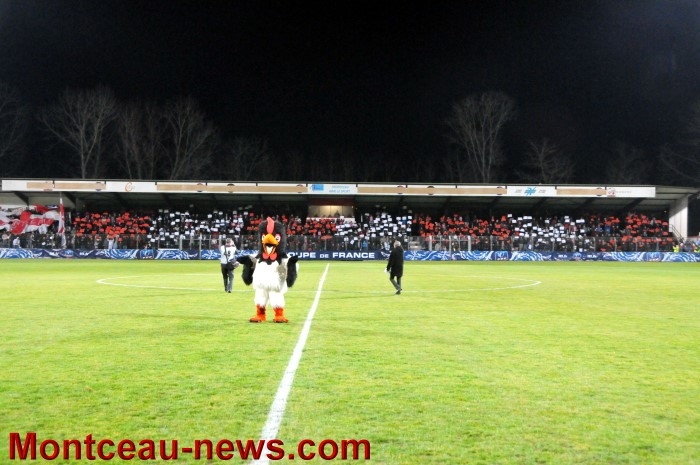 fcmb troyes 05011320