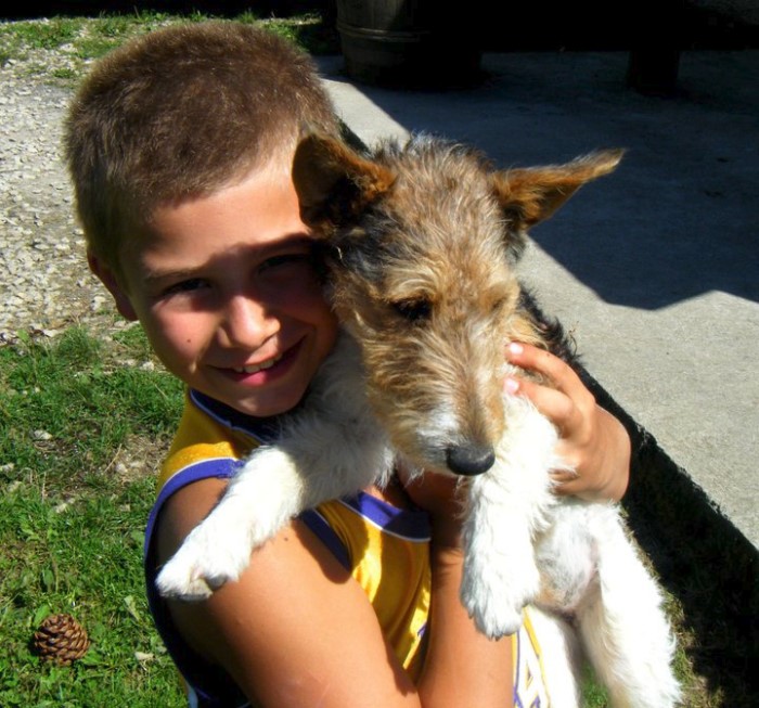 chien enzo 0602132