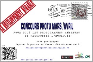 Photo club San Asa