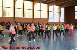 Association  « Vaincre les maladies lysocomiales » (VML)