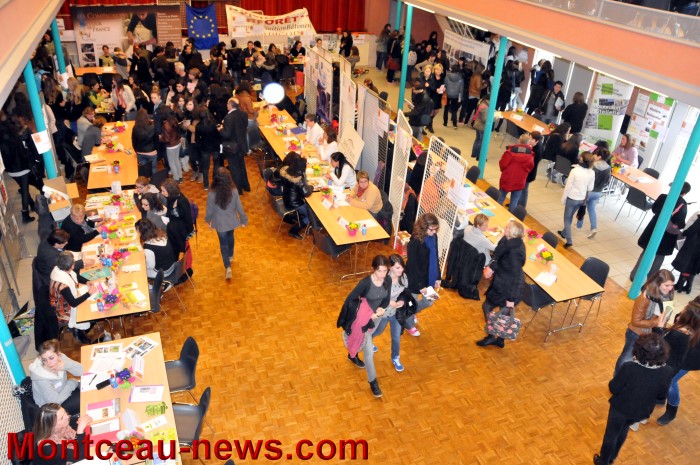 carrefour au feminin 0903137