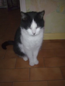 Blanzy