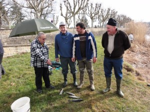 La Gaule Montcellienne