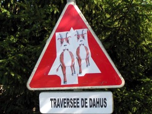 Nos lecteurs ont de l’humour