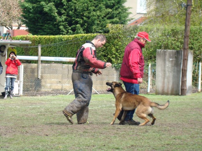 canin montceau 2604133